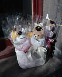 Single Bundle